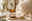 Solstice Naturals Pure Collection candle