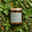 Forest Mint (Seasonal Release)